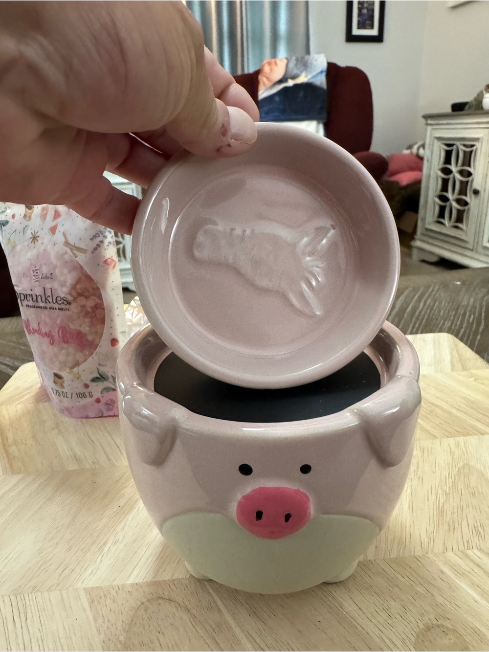 Maggie the pig simmer pot -Cute Pig Ceramic Pot - Pink and Cream - Picture 6 of 10